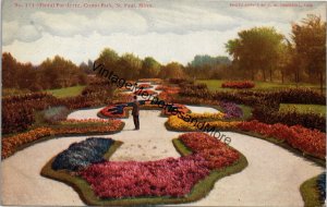 Floral Par-Terre Como Park St. Paul Minnesota Postcard PC330