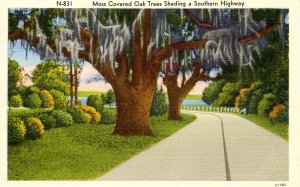 US Highway 301 in Dixieland. Moss Covered Trees