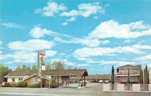 Palo Alto California Sky Ranch Motel Vintage Postcard AA47311