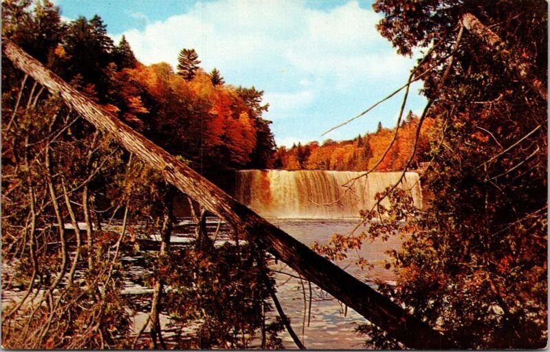 Tahquamenon Falls Michigan Upper Peninsula Fall Scene Postcard VTG UNP LL Cook