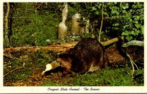 Beaver Oregon's State Animal 1970