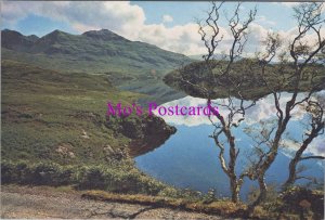Scotland Postcard - Loch Assynt and Quinag, Lochinver, Sutherland  RR20587