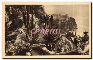 Old Postcard Monte Carlo exotic gardens and the Rock of Monaco