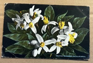 VINTAGE 192? USED .01 POSTCARD - ORANGE BLOSSOMS IN CALIFORNIA