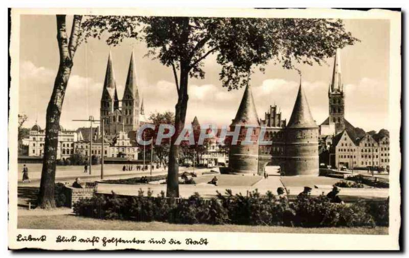 Postcard Old Echte Fotografie chamois m Buttenrand