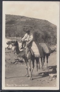 Spain Postcard - Canary Islands, Tenerife - Typicos Del Pais    T10198