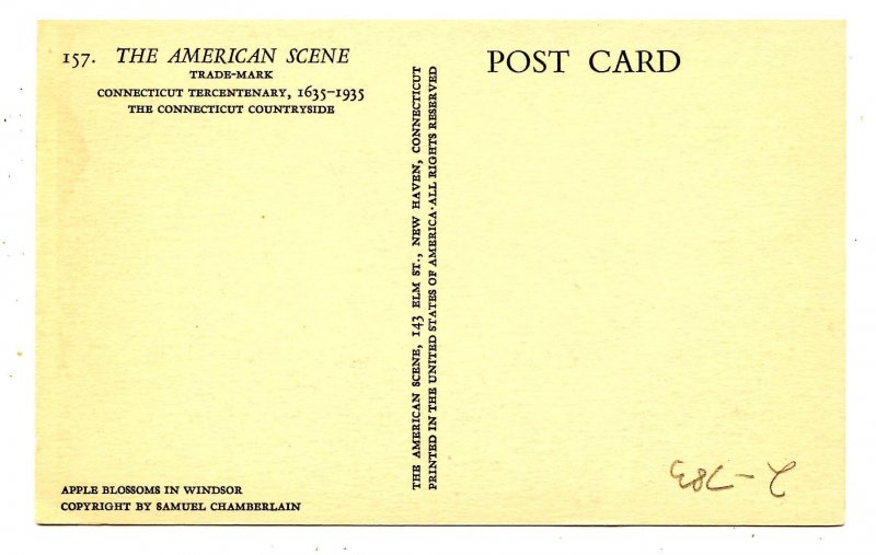 CT - Windsor. Apple Blossoms