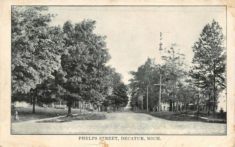 Decatur Michigan~Homes on Either Side of N Phelps St~Plump Shade Trees~1911 B&W 