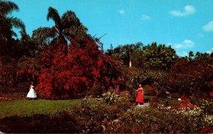 Florida St Petersburg Sunken Gardens Colorful Scene