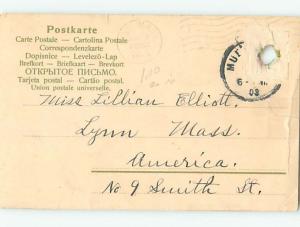 1903 foreign BEAUTIFUL LARGE BIRD - FROM MUNCHEN MUNICH GERMANY HJ4417