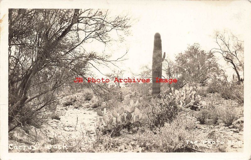 Unknown Location, RPPC, Cactus Wash, The Photo Shop-Phoenix Arizona