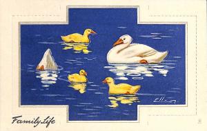 Raphael Tuck Platform Cutout Ellam Ducks Postcard