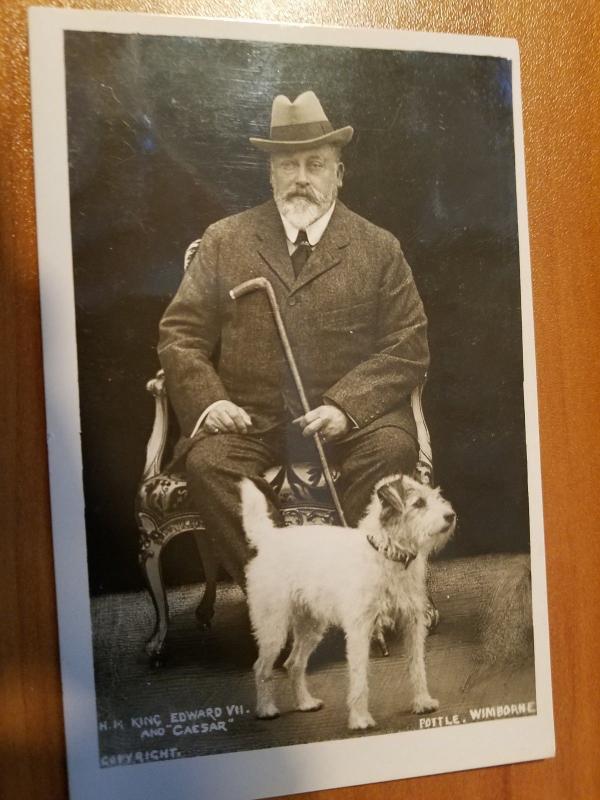 Picture Postcard:: KING EDWARD VII and his Dog Caesar taken 1902-1910