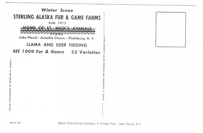 Sterling Alaska Fur & Game Farms, Ilama, Deer in Winter, Plattsburg New York,