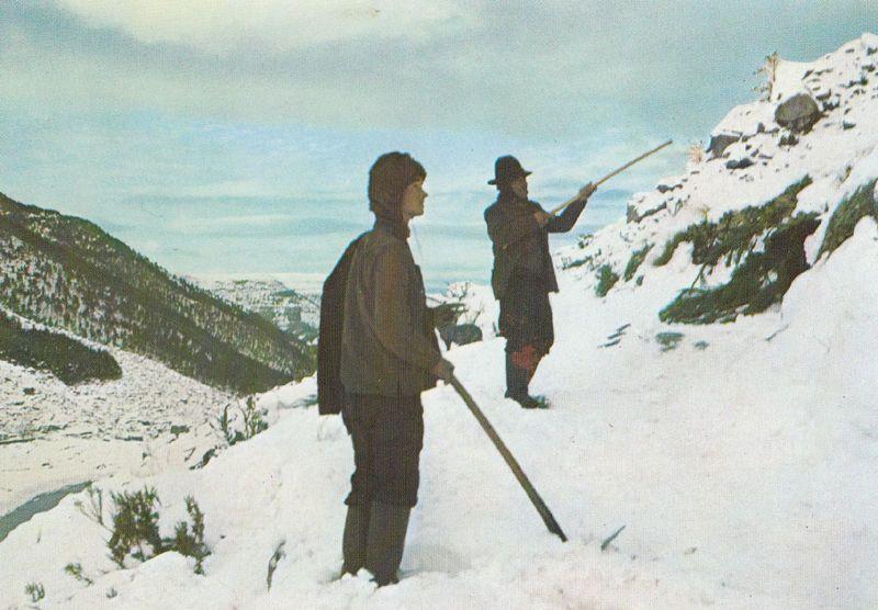 Shooting Guns Rifle Range Pastores Da Serra Da Estrela Portugal Map Postcard