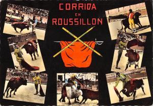 BR71936 la corrida en roussillon bull toros sport  france