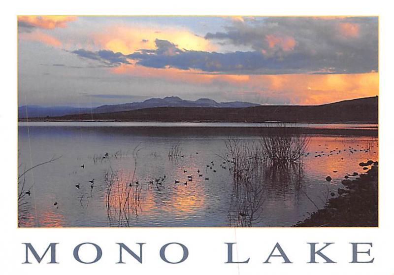 Mono Lake - 