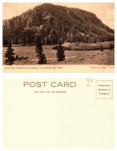 Junction Firehole & Gibbon Yellowstone Park (26651