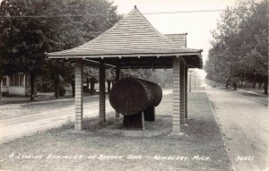 Real Photo Postcard Logging Reminder of Bygone Days in Newberry, Michigan~128769