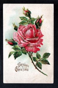 U S 19xx Picture Postcard Birthday Greetings Rose!