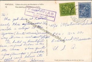 Portugal Rice Planting at Montemor-o-Velho Postcard PC292