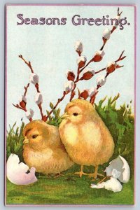 Seasons Greeting, Hatched Chicks, Pussy Willow, Antique Embossed Postcard