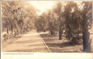 RPPC A Walk in Colonial Park, Savannah GA Undivided Back Vintage Postcard P44