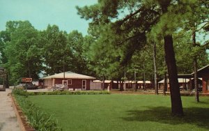 Vintage Postcard Shady Grove Luxurious Hotel & Restaurant Ashland Virginia VA