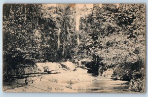 Congo Postcard A Corner of the Forest The Mayumbe c1910 AntiquePosted
