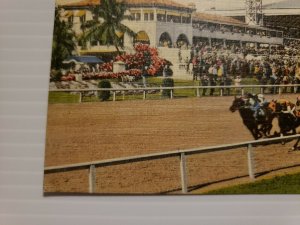 Vintage Postcard Tropical Park Gables Horse Racing Association Miami Florida 472