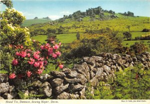 uk45405 hound tor dartmoor showing haytor devon uk