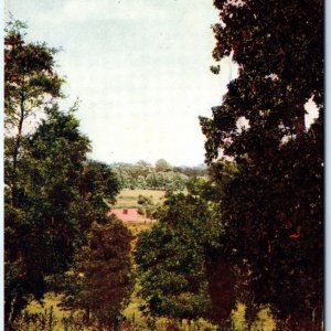 c1910s Forest Park, St Louis, MO Birds Eye Nature Tree Litho Photo Postcard A60