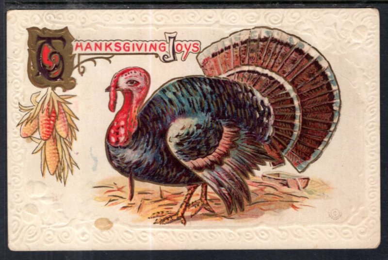 Thanksgiving Joys,Turkey