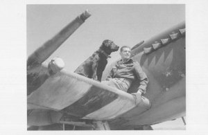 144 Canadian Wing WW2 on Spitfire With Plane Dog France Postcard