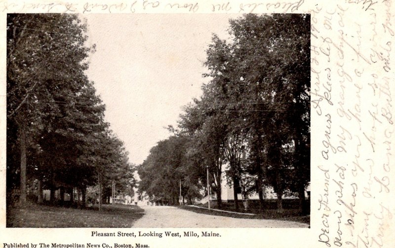 Milo, Maine - Houses on tree-lined Pleasant Street - in 1906