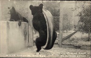 Hoosick Falls New York NY Zoo Bear Playing on Tire Swing Real Photo Postcard