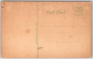 Boston Massachusetts c1907 Postcard State House Flags