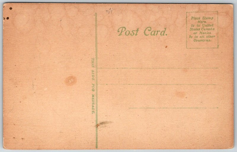 Boston Massachusetts c1907 Postcard State House Flags