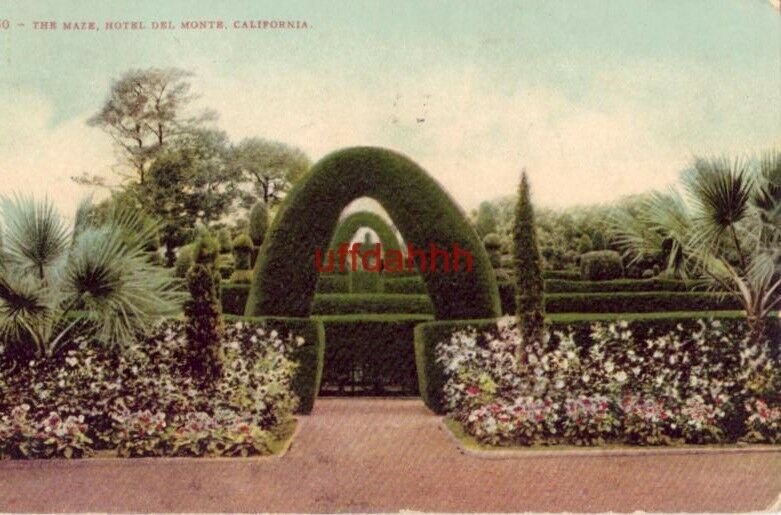 THE MAZE, HOTEL DEL MONTE, CALIFORNIA Monterey 190?