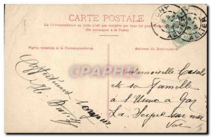 Old Postcard Cat Cats Kitten