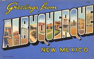 Greetings from Albuquerque, New Mexico Large Letter Unused 