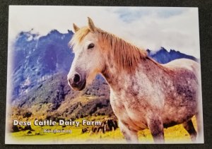 [AG] P112 Malaysia Sabah Desa cattle Dairy Farm Horse Mount (postcard) *New