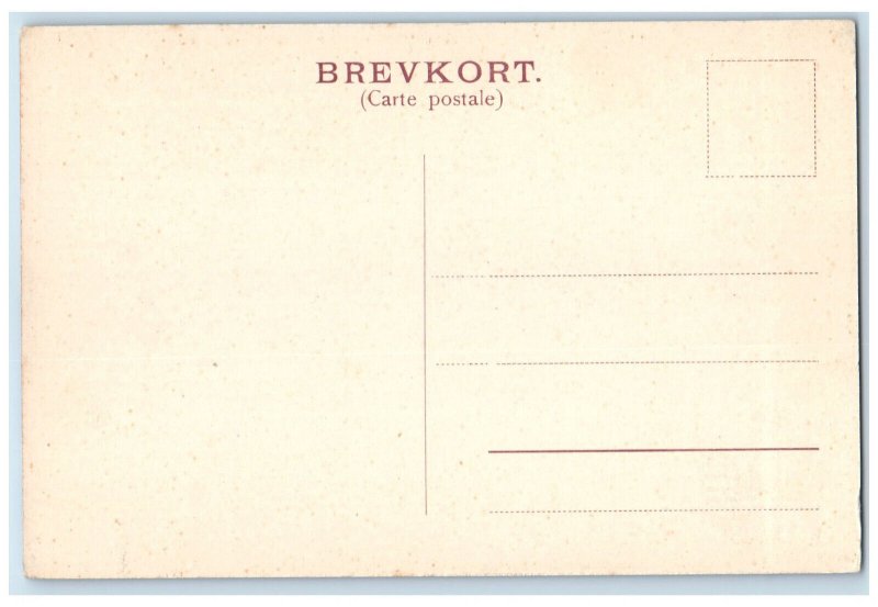 c1910 Frederiksborg Castle Seen From the Hotel Hillerød Denmark Postcard