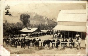 Wolf Wyoming WY Eaton Ranch Horses Real Photo Postcard #1