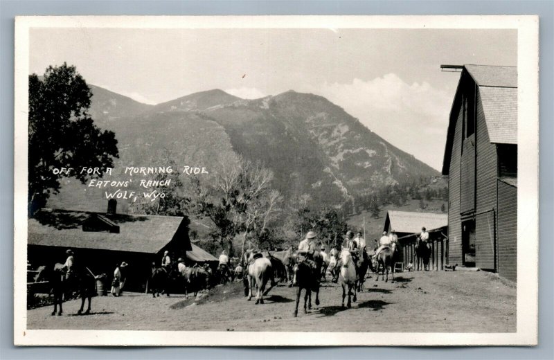 WOLF WYO EATON'S RANCH MORNING RIDE ANTIQUE REAL PHOTO POSTCARD RPPC