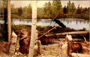 Postcard MUSEUM SCENE Gaylord Michigan MI AL9800