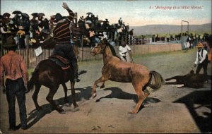 Cowboy Bringing in a Wild Horse OLD WEST c1910 Postcard