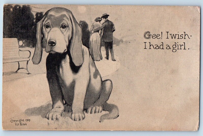 Signed Artist Postcard Humor Sad Dog Gee I Wish I Had A Girl 1910 Antique