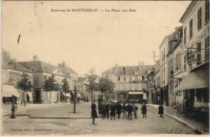 CPA Env. de MONTEREAU - La Place aux Bles (120136)