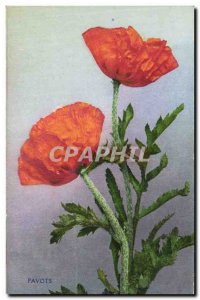 Old Postcard Fantasy Flowers Poppies